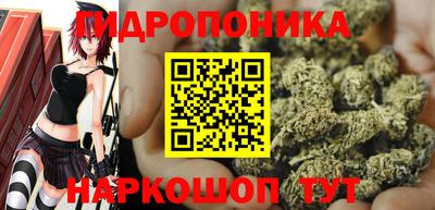 трава Усть-Джегута
