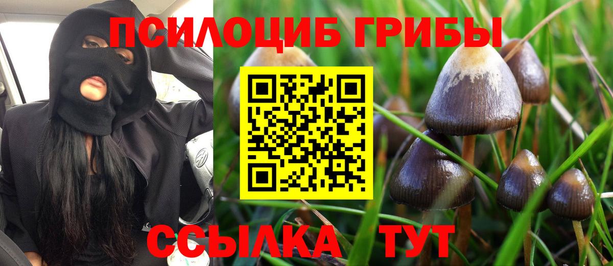 купить наркоту  Псилоцибиновые грибы мицелий  Вход с VPN  Псилоцибиновые грибы GOLDEN TEACHER  Мелеуз 